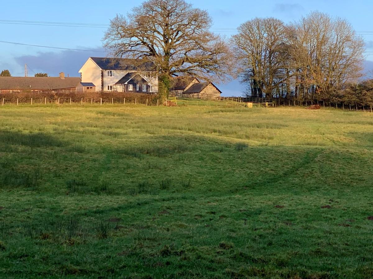 Maen Llwyd Villa Llanyre Dış mekan fotoğraf